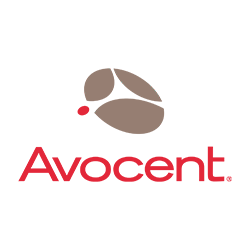 Avocent