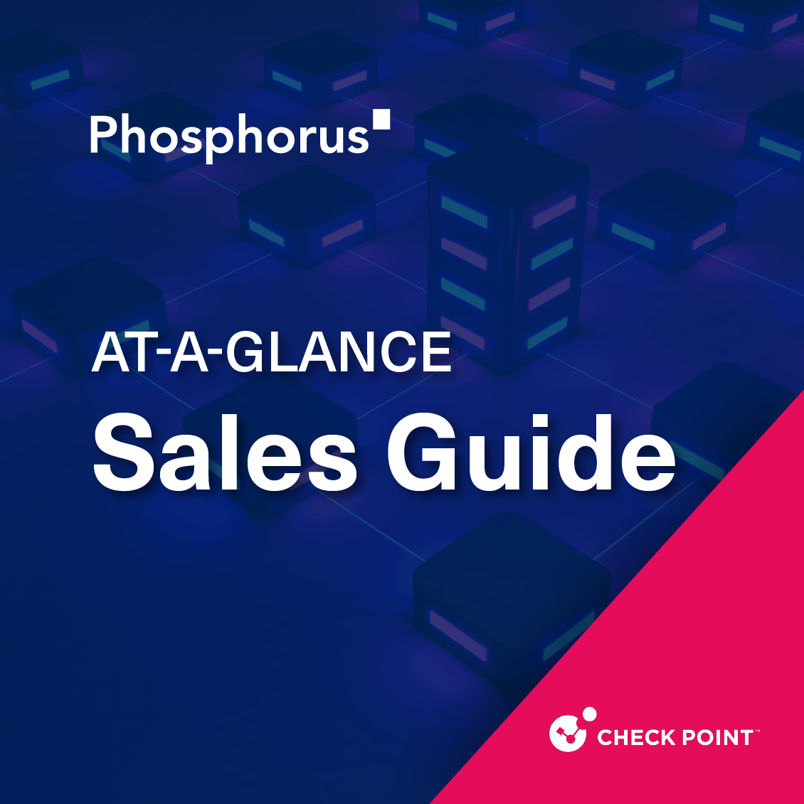 Check Point + Phosphorus Integration Brief